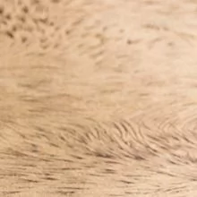 Вольф бежевый