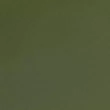 Зеленый хаки G-17