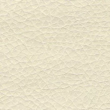 Слоновая кость