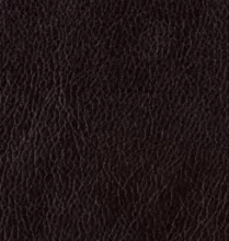 Остин Умбер