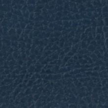 Синяя кожа 730