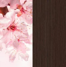 Сакура/Венге