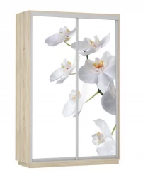 Шкаф-купе двухдверный Экспресс Дуо 1400х2200х Белая орхидея/Дуб сонома / 1400х2200h