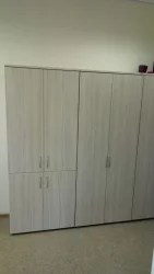 Шкаф для одежды Глассй 6.19.301 Туя / Glassy