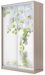 Шкаф-купе Хит-24-12-77 Орхидея Ясень шимо светлый