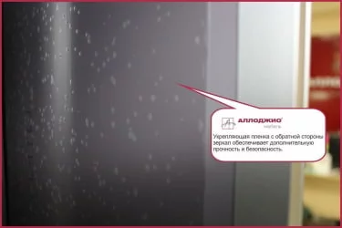 Двустворчатый гардеробный шкаф Хит-24-14-15 Ясень шимо светлый