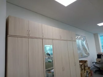 Антресоль Твин 16.13.13Пр Туя / Twin