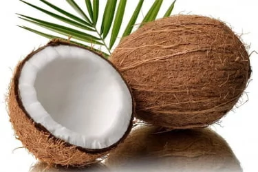 Наматрасник корректирующий Кокос+Латекс 120-190