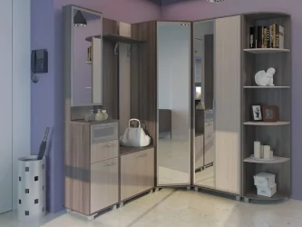 Прихожая ВЕСТ Комлпект № 3_Ясень шимо темн/ясень шимо св / WEST