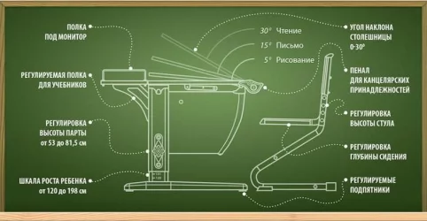 Растущая мебель Парта 1/75 + Стул Белый Серый / Parta Stul
