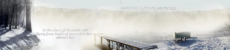 Глянцевый фартук с эффектом мерцания (КОМПОЗИТ) Зима