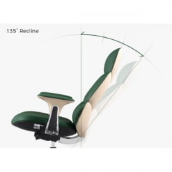 Эргономичное компьютерное кресло руководителя Еурека ОC21 Пауло (Наппа кожа), зеленое / Eureka OC21 Paulo (Nappa