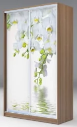 Шкаф-купе Хит-24-14-77 Орхидея Ясень шимо темный