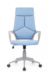 Кресло Ик Рв РCХ 8989 Серый Пластик/Синий / Iq Rv RCH