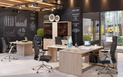 Кабинет руководителя ТОРР-З №3 Дуб Каньон / TORR-Z