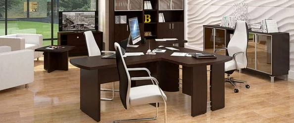 Кабинет руководителя БОРН набор 11 Бургунди