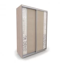 Шкаф-купе 2-х дверный Акцент-Вера КС 1000х600 Ясень шимо светлый