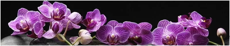 Глянцевый фартук (КОМПОЗИТ) КМ 38 / KM