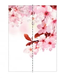 Шкаф-купе двухдверный Экспресс Дуо 1200х2200х Сакура/Ясень шимо светлый / 1200х2200h