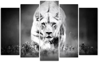 Модульная картина Топлигхт хсм ТЛ-ПМ0008 / Toplight TL-PM0008