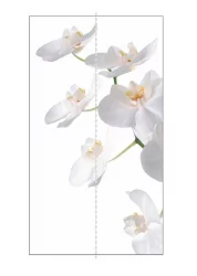 Шкаф-купе с фотопечатью Экспресс Дуо 1200х2400х Орхидея белая/Дуб молочный / 1200х2400h