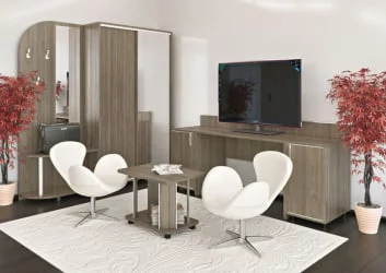 Прихожая-купе комбинированная ЛИГХТ С-ПК-39 Вяз Благородный / LIGHT