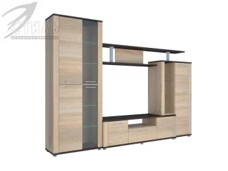 Гостиная Соло 10А Венге/Дуб сонома