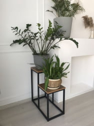 Подставка под цветы 600*300*620мм Таксония