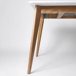 Стол обеденный Пегас Плус 160кс95 Эмаль белая Морилка Орех / Plus 160x95