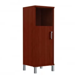 Стеллаж дверь ДСП с замком В421.3 Р/З Бургунди / R/Z