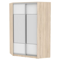 Шкаф-купе ЙА-230х1400-718-2(ДСС-Белый-Д3Д3) / YA-230х1400-718-2(ДСС-Белый-D3D3)