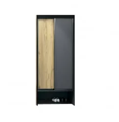 Двустворчатый шкаф Ольга-Лофт 10.1 Дуб Крафт золотой Темно-серый