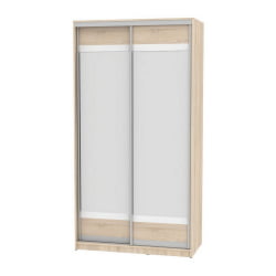 Шкаф-купе Б-220х120х60-2(ДСС-Д10Д10) / B-220х120х60-2(ДСС-D10D10)