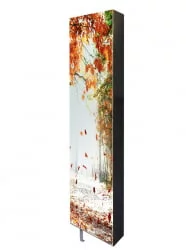 Поворотный зеркальный шкаф Драйв Шелф Арт (правый) Беленый дуб