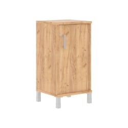 Стеллаж дверь ДСП с замком В411.3 З/Р Дуб Бофорд / Z/R