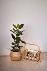 Газетница 17/13 орех матовый