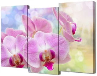 Модульная картина Топлигхт ТЛ-М2075 / Toplight TL-M2075