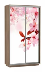 Шкаф-купе со стеклом Экспресс Дуо 1200х2200х Сакура/Ясень шимо тёмный / 1200х2200h