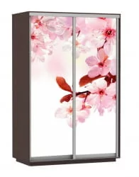 Шкаф-купе со стеклом Экспресс Дуо 1400х2200х Сакура/Венге / 1400х2200h