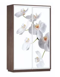 Шкаф-купе со стеклом Экспресс Дуо 1400х2200х Белая орхидея/Венге / 1400х2200h