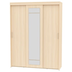 Шкаф-купе Т-3-230х175х60-М(ДМ-9) / T-3-230х175х60-M(ДМ-9)