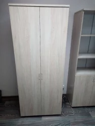 Шкаф для одежды глубокий Твин 16.17.302 Дуб Сантана светлый / Twin