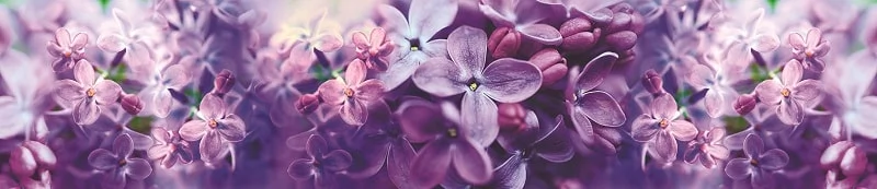 Глянцевый фартук (КОМПОЗИТ) КМ 244 / KM