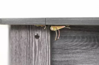 Раскладной стол Оригами Ясень черный