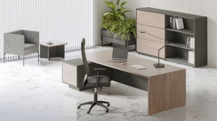 Кабинет руководителя ДЭЛИ №04 Орех Антрацит / DALI