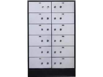 Депозитная ячейка ДБ-12 С.ДГЛ / DB-12 S.DGL