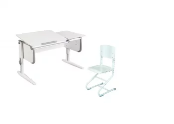 Растущая мебель Парта 1/75-40 + Стул Белый Серый / Parta Stul