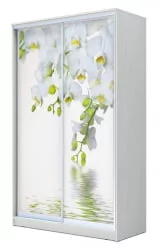 Шкаф-купе Хит-23-12-77 Орхидея Белая шагрень