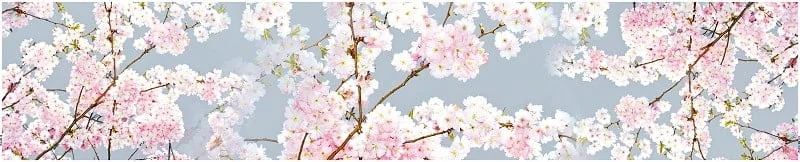 Глянцевый фартук (КОМПОЗИТ) КМ 63 / KM