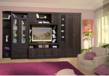 Распашной шкаф в гостиную 607  Денвер темный